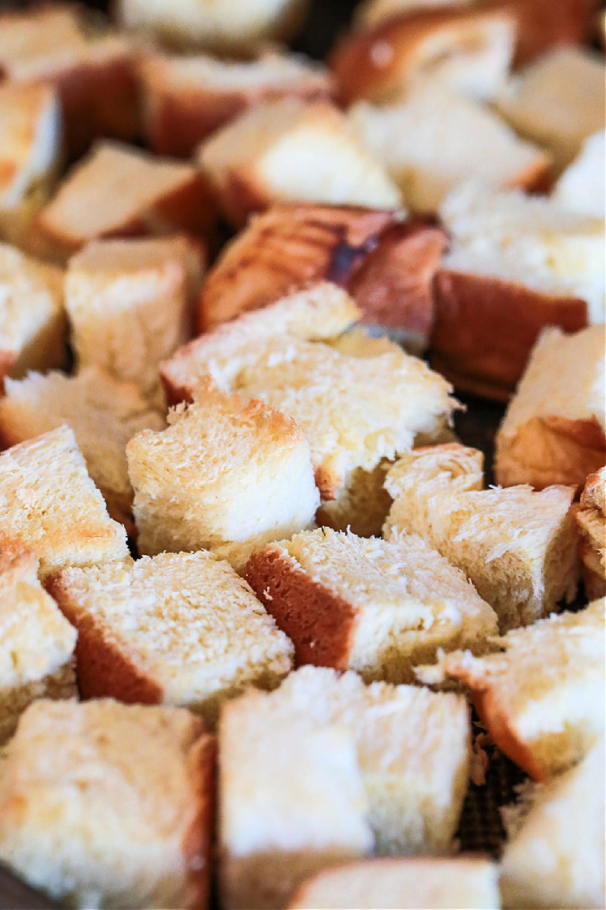 Cozy Apple Bread Pudding is one of our favorite fall desserts! Sweet, brioche bread soaked in a rich custard layered with buttery apples! toasted brioche bread cubes
