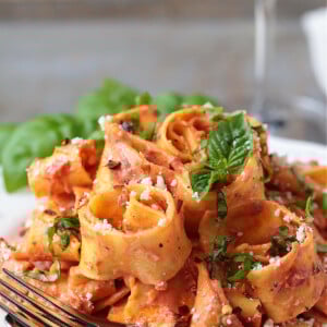 pappardelle pasta in champagne cream sauce on white plate with fork