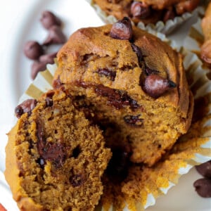 Pumpkin muffin recipe with chocolate chips