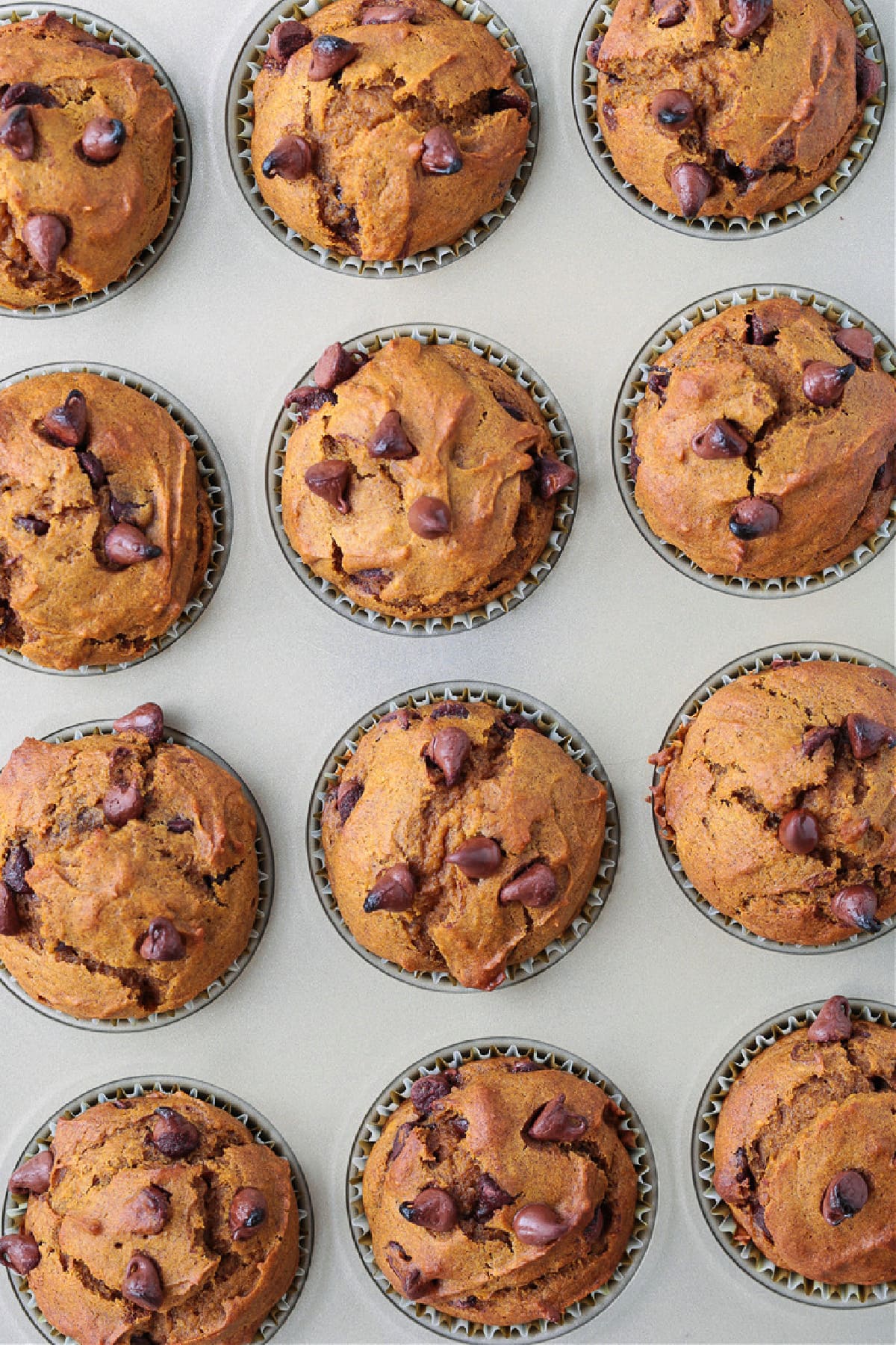 These Pumpkin Chocolate Chip Muffins are so moist and flavorful, made with real pumpkin puree. Enjoy them for breakfast, dessert or a snack! Pumpkin muffin recipe with chocolate chips in muffin tin