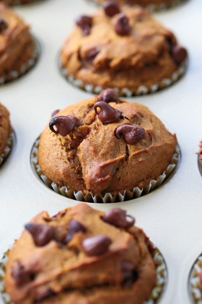 These Pumpkin Chocolate Chip Muffins are so moist and flavorful, made with real pumpkin puree. Enjoy them for breakfast, dessert or a snack! Pumpkin chocolate chip muffins in muffin pan