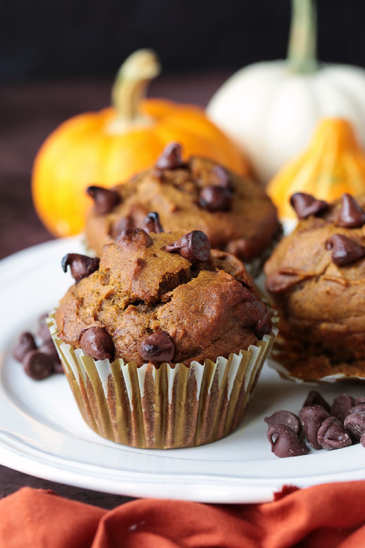These Pumpkin Chocolate Chip Muffins are so moist and flavorful, made with real pumpkin puree. Enjoy them for breakfast, dessert or a snack! pumpkin chocolate chip muffins on a plate with pumpkin in background