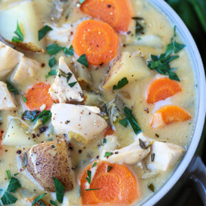 turkey stew in a bowl close up from the top