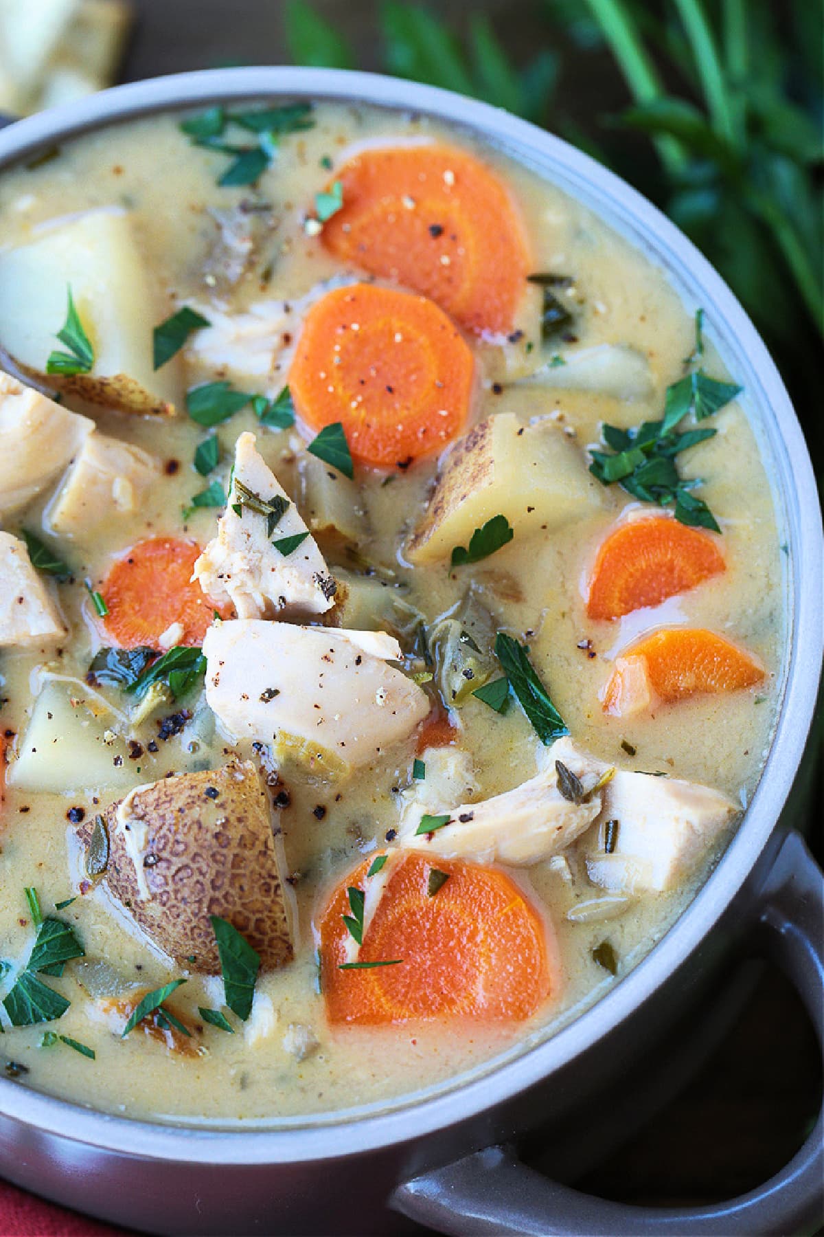 turkey stew in a bowl close up from the top