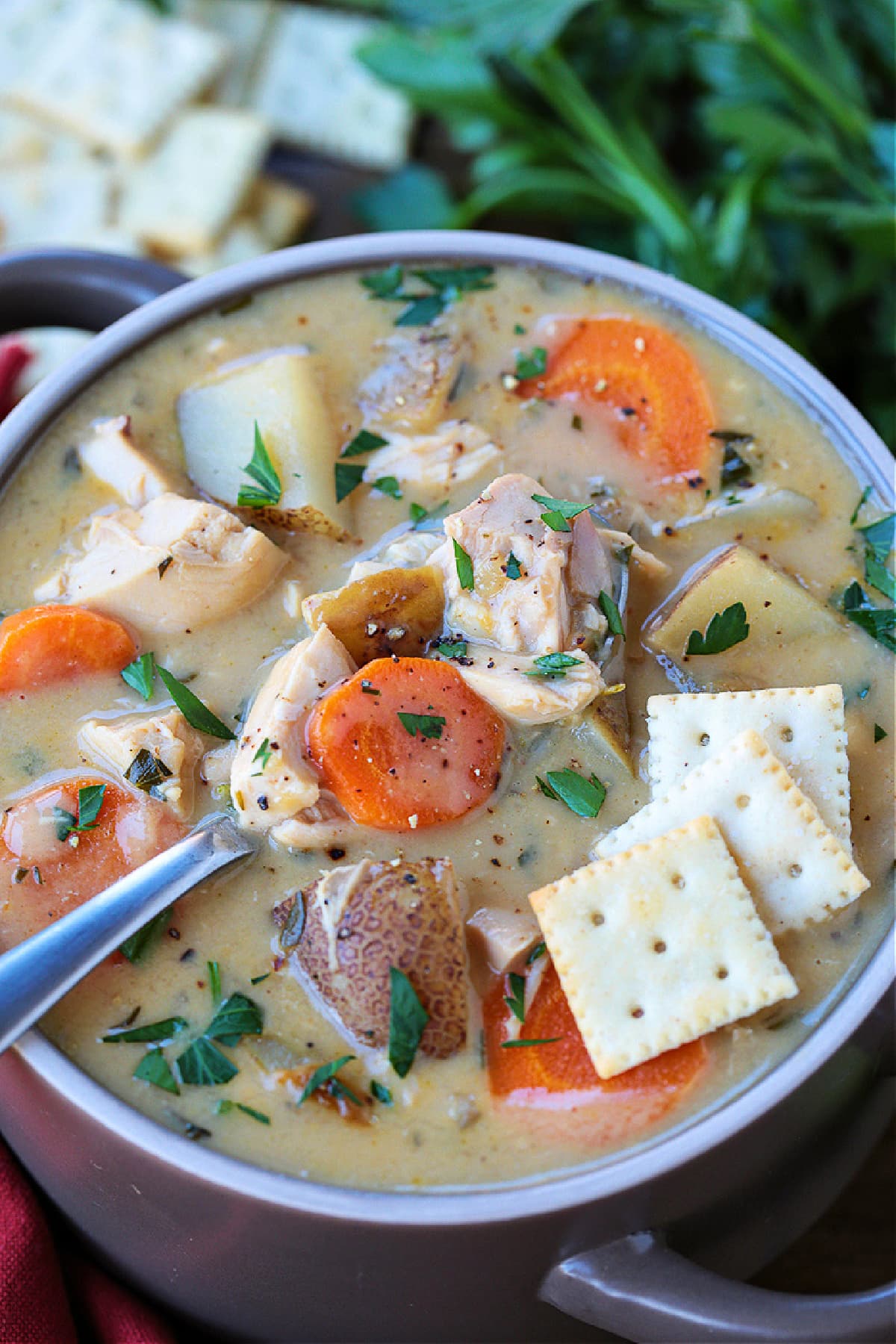 turkey stew in a bowl with spoon