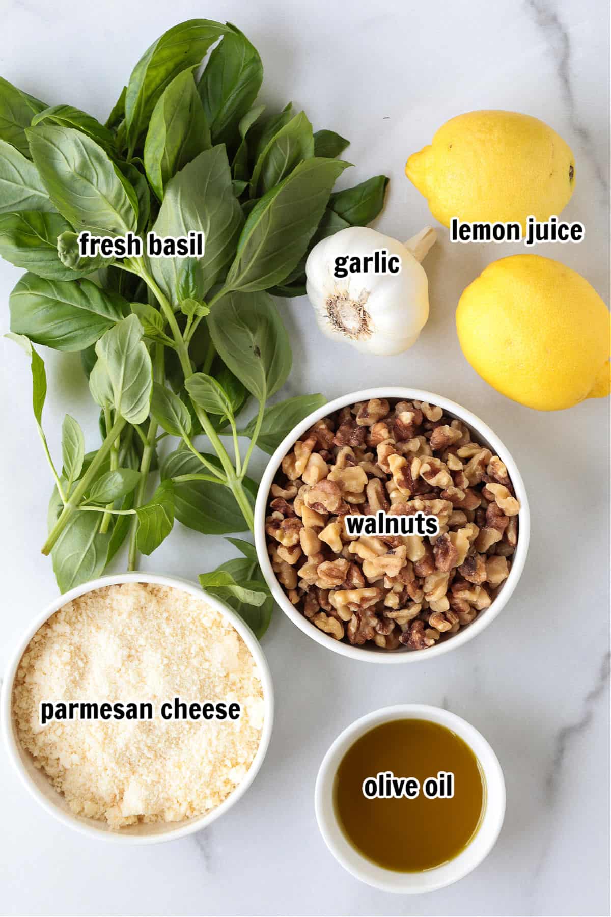 Make this tasty basil walnut pesto with just a few simple ingredients. A quick, vibrant sauce for chicken, fish or steak and so much more! ingredients for making basil walnut pesto