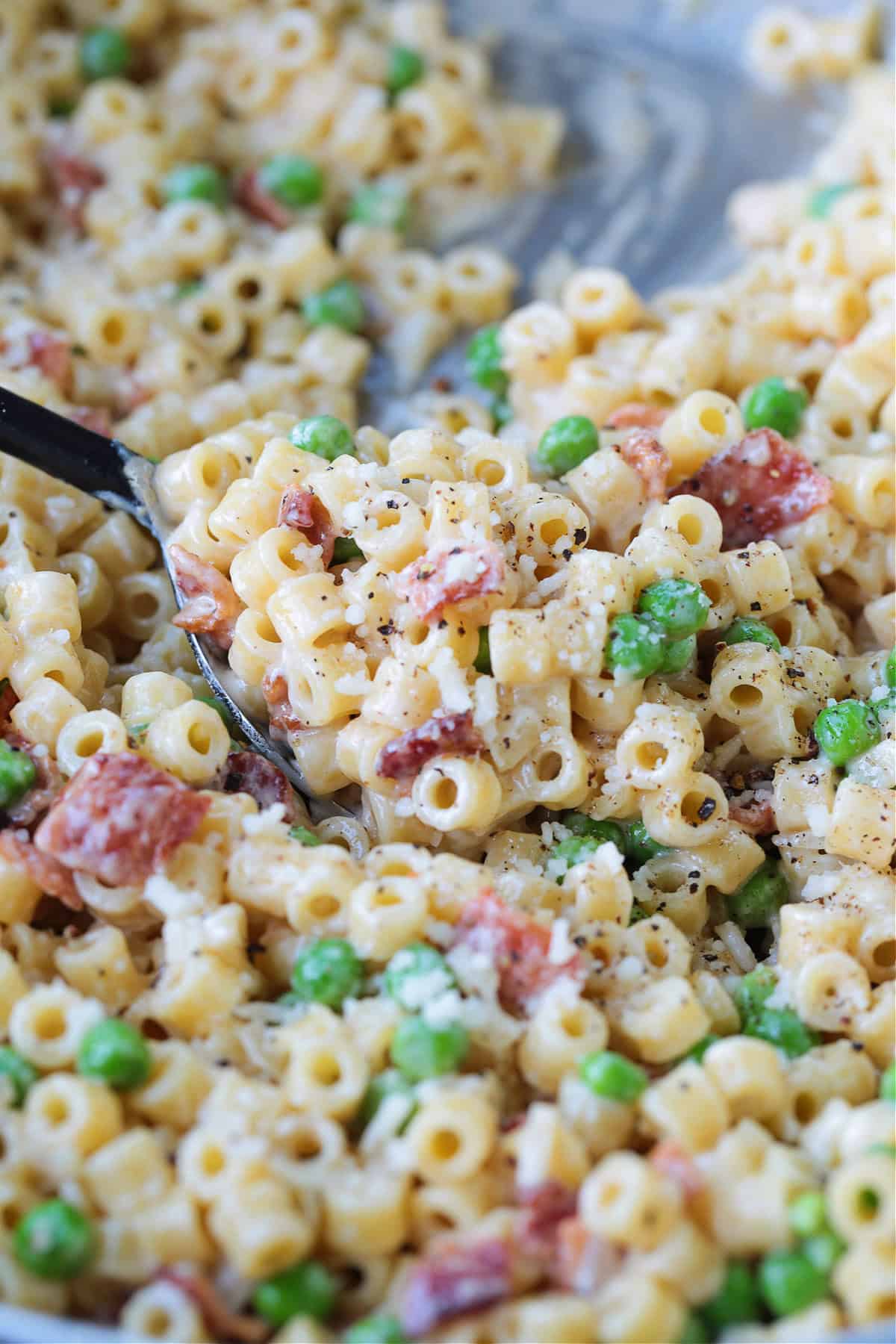 This creamy Bacon and Pea Ditalini pasta can be served as a side dish to dinner or as a meal on its own. Ready in 30 and sure to please! bacon and pea ditalini recipe in skillet on serving spoon