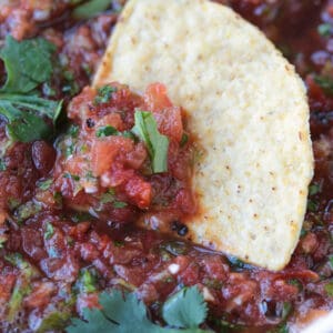 chip dipped in bowl of salsa