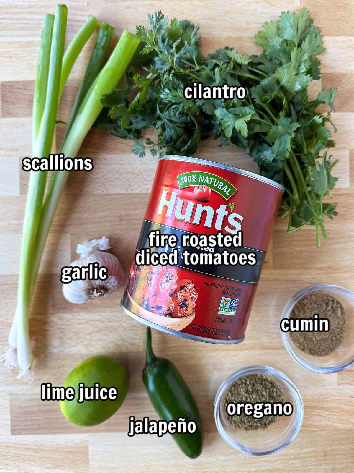 ingredients needed to make blender salsa recipe