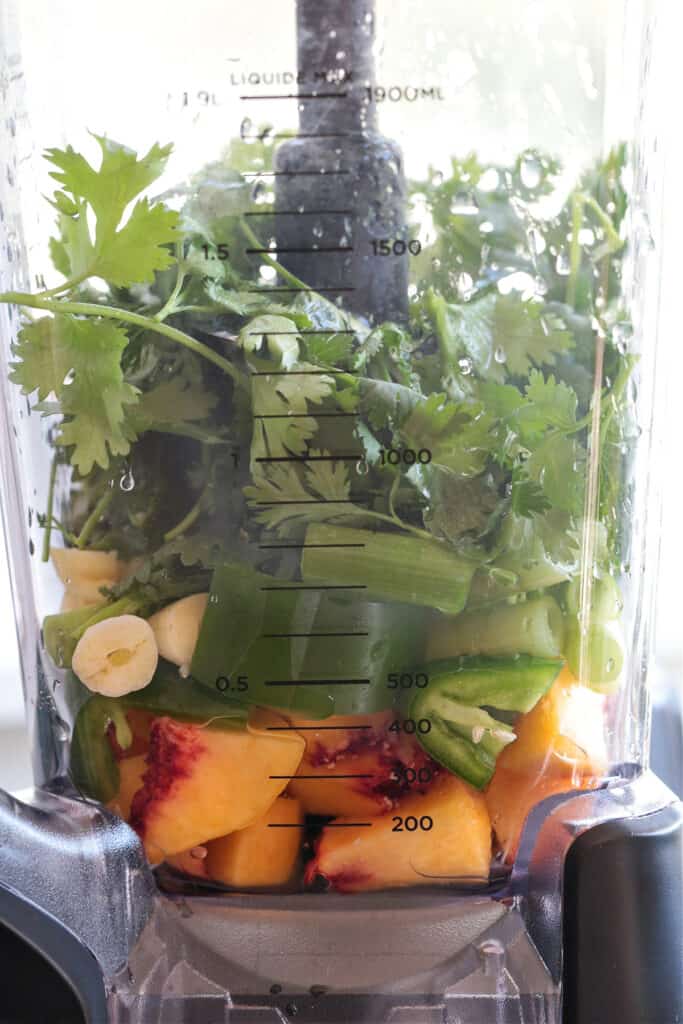 ingredients in blender for making salsa