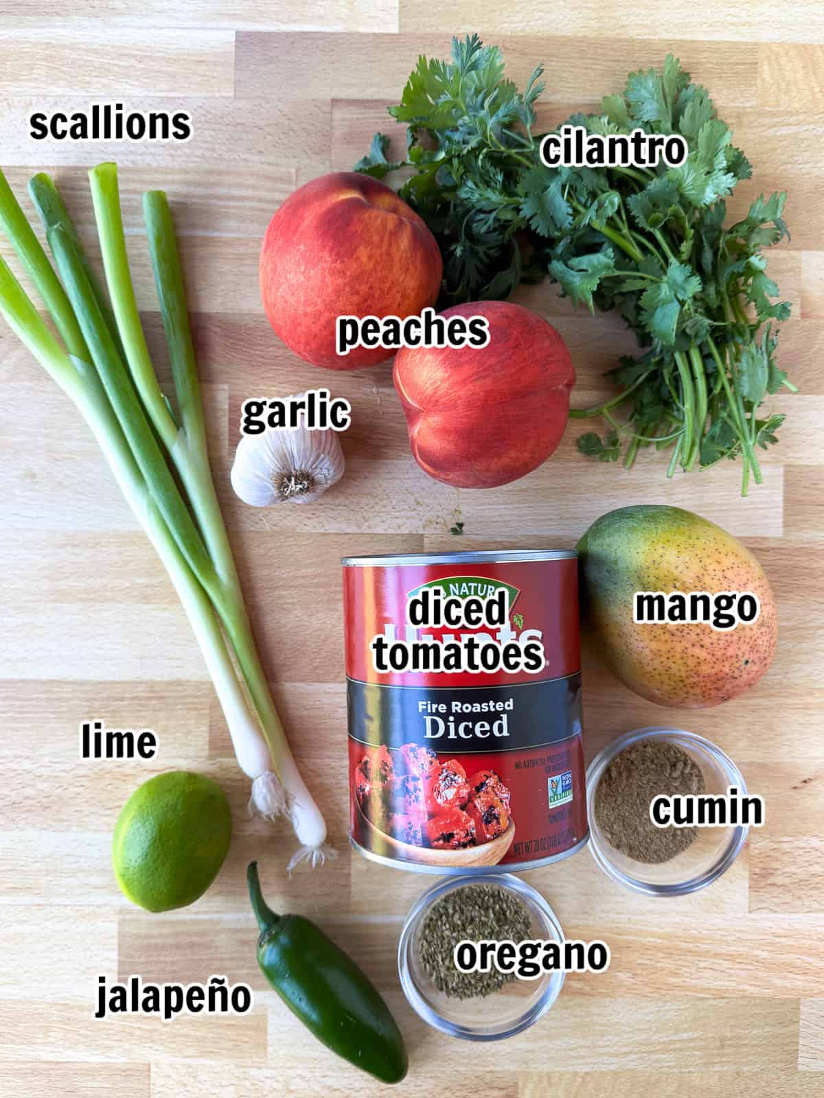 ingredients for making homemade salsa recipe