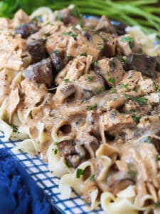 chicken stroganoff with gravy served over noodles