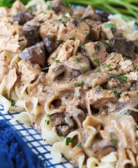 chicken stroganoff with gravy served over noodles