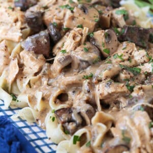 chicken stroganoff with gravy served over noodles