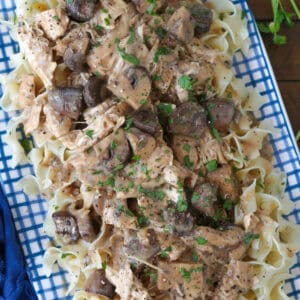 chicken stroganoff with noodles on a blue and white platter