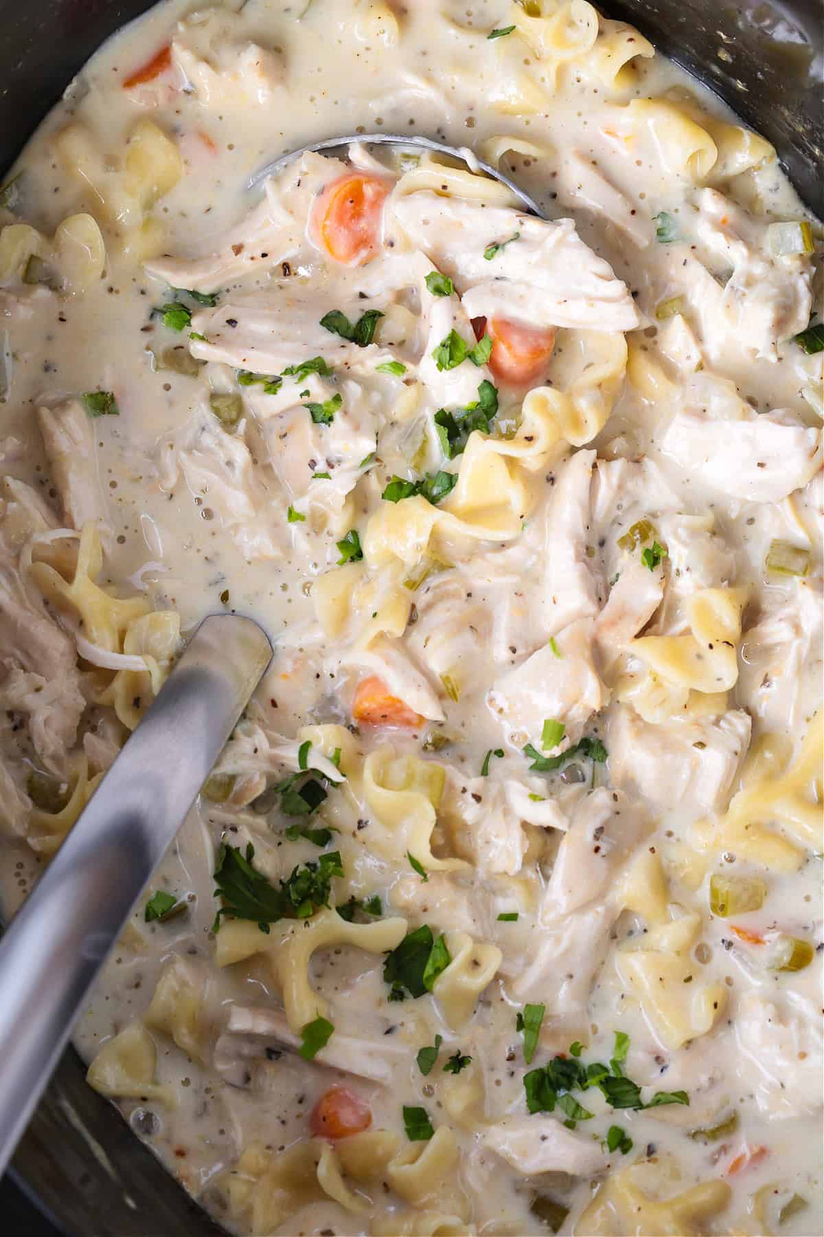 creamy chicken noodle soup in a slow cooker with ladle