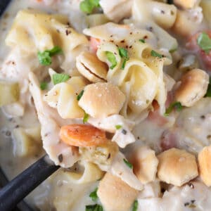 spoon full of chicken noodle soup with oyster crackers