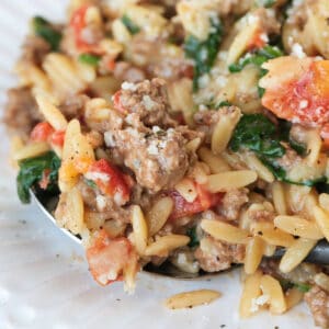 a spoonful of ground beef and spinach orzo on a white plate
