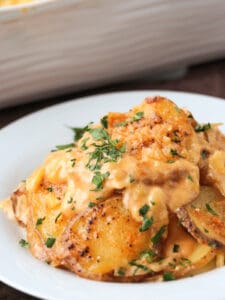beer cheese casserole on a plate with baking dish in background