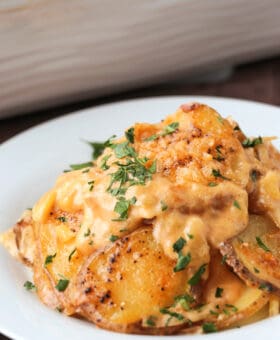 beer cheese casserole on a plate with baking dish in background