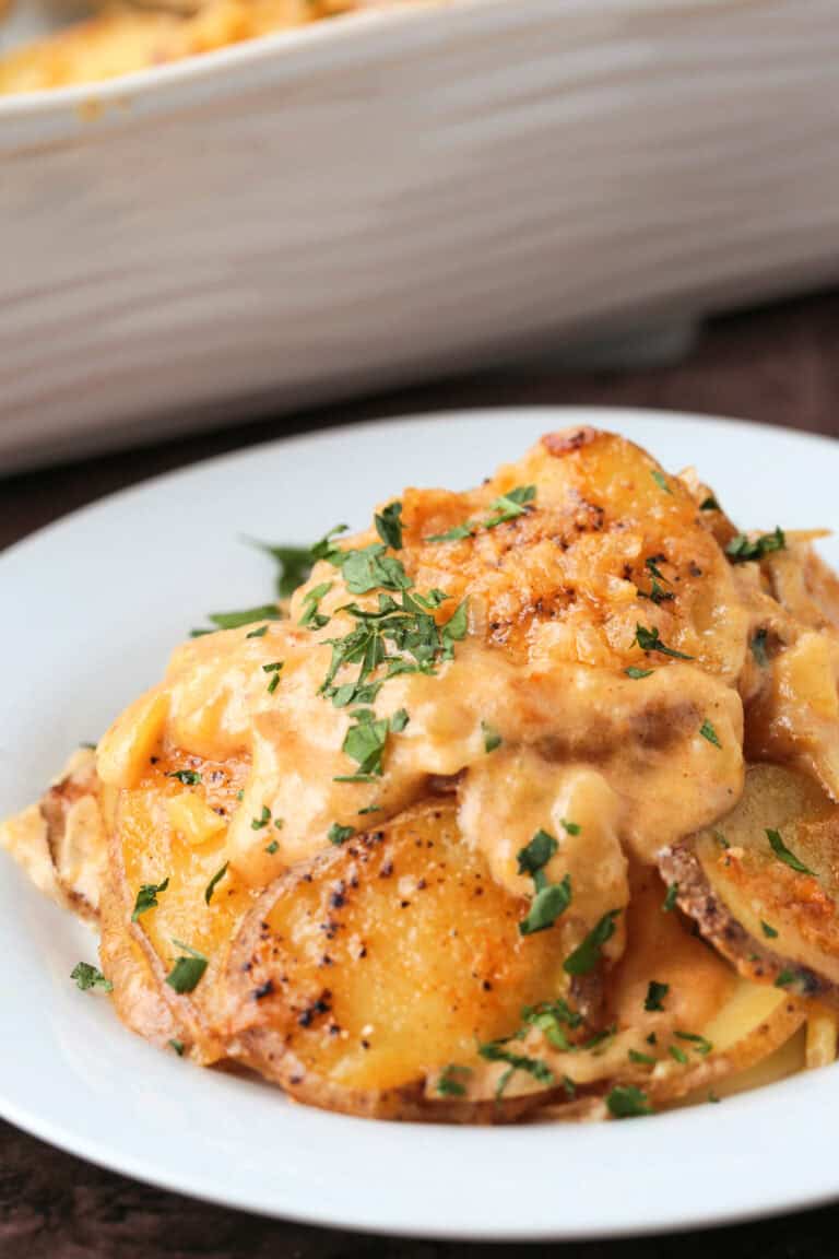 beer cheese casserole on a plate with baking dish in background